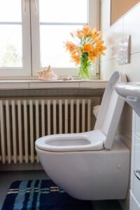 tirer la chasse la nuit en suisse - lois insolites en europe - journal d'europe