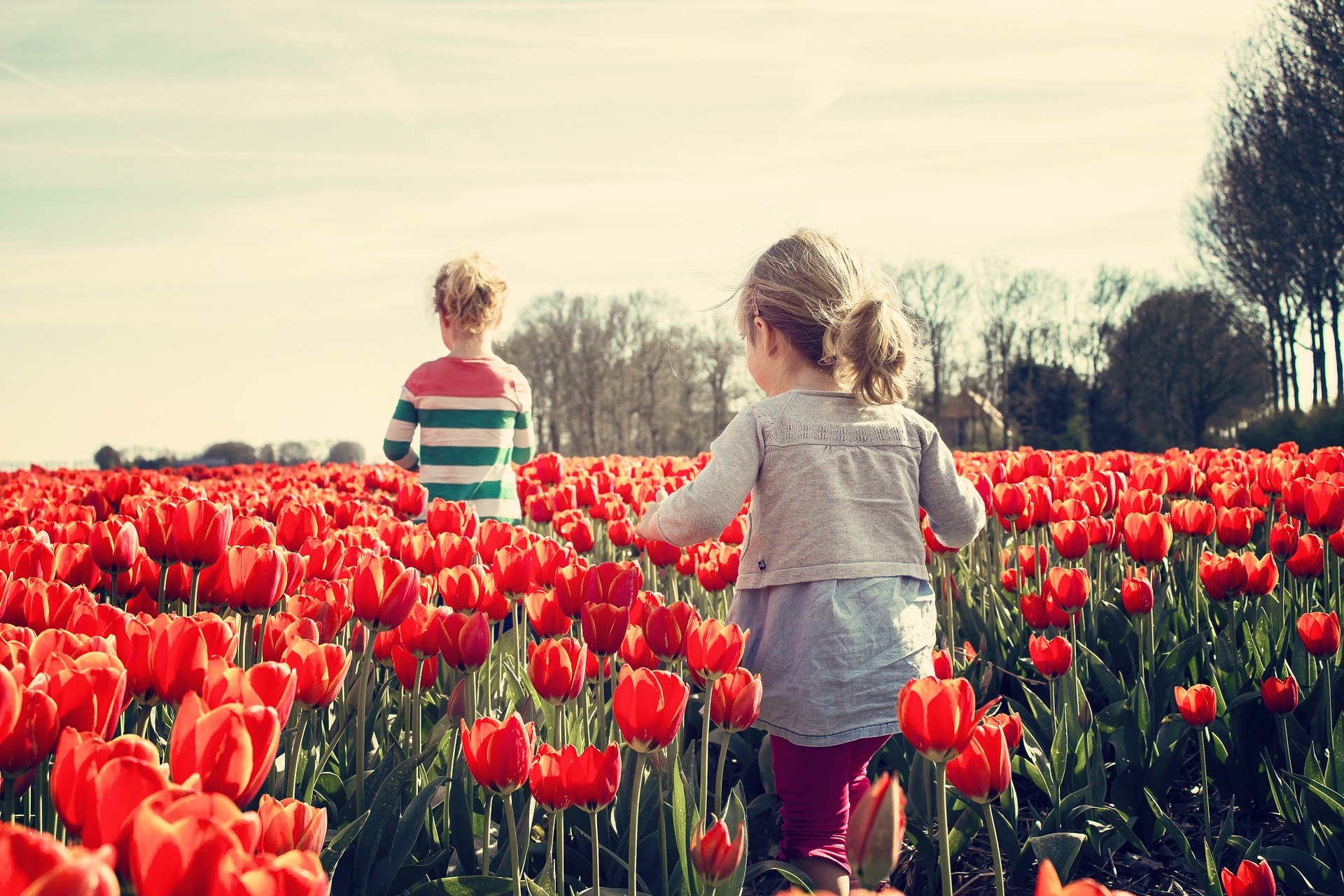 Comment determiner le pays le plus heureux du monde?