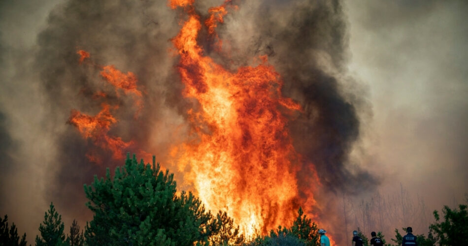 Journal-deurope -Incendies en Europe en 2022  le bilan complet