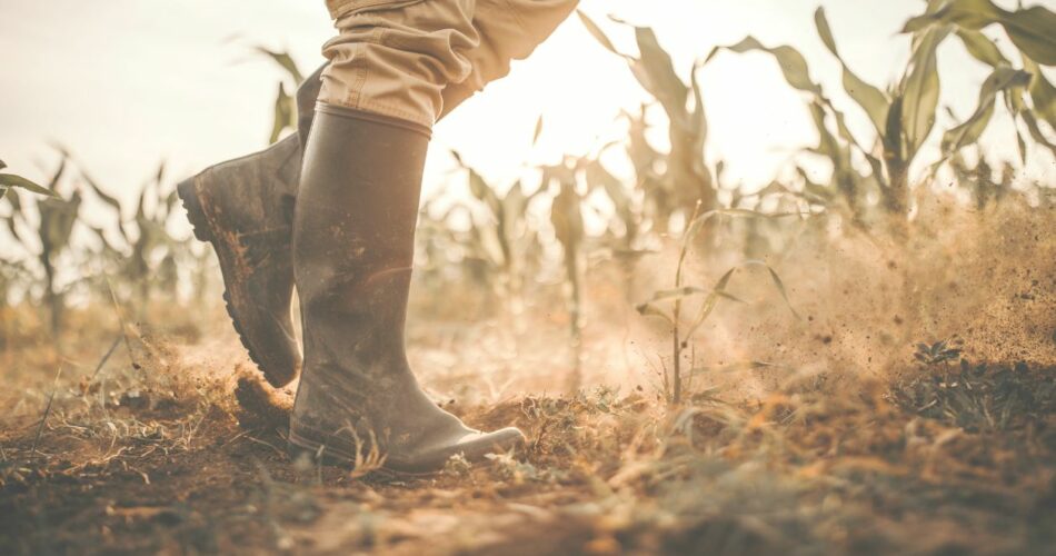 Les agriculteurs en colère dans toute l'Europe